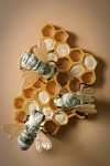 Bees on Honeycomb